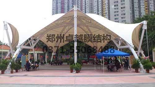 葡萄视频在线免费观看广场遮阳膜结构案例