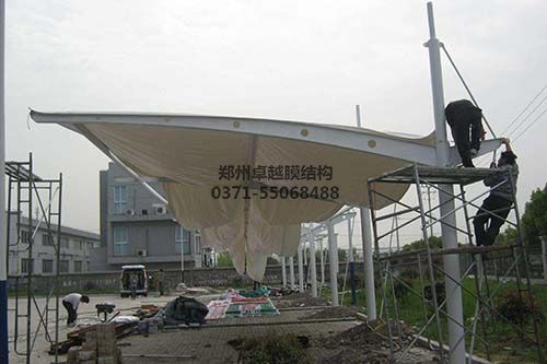 正在装膜的葡萄视频APP官网下载安装