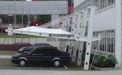 某公司的葡萄视频APP官网下载安装