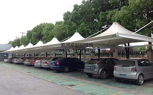 帽顶型葡萄视频APP官网下载安装