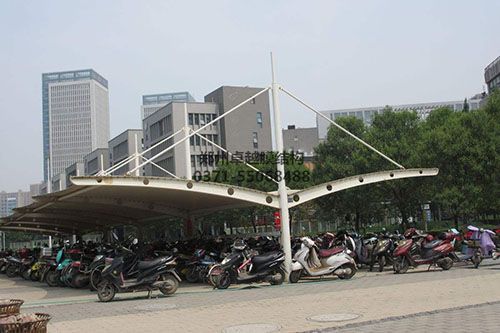双侧斜拉型葡萄视频APP官网下载安装