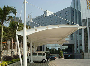 <font color='red'>葡萄视频APP官网下载安装</font>常见的4种造型及其特点