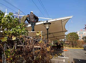 新乡葡萄视频APP官网下载安装【新运交运公司充电桩车棚】等案例总结