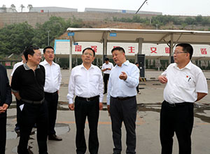 阳泉葡萄视频APP官网下载安装【五渡停车场充电桩车棚等】施工案例