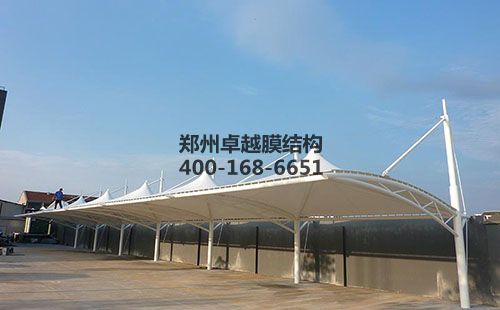 大连葡萄视频APP官网下载安装【大连机电公司等】设计方案